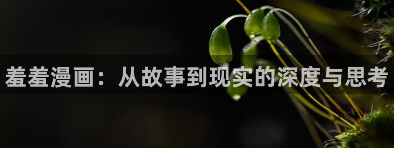 omofun动漫下载入口最新