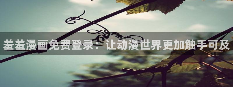 omofun动画