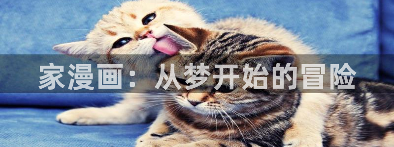 omofun纯净版2024
