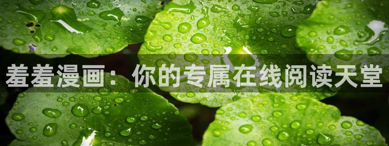 omofun动漫网