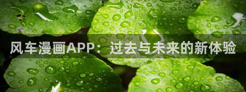 omofun苹果版安装包
