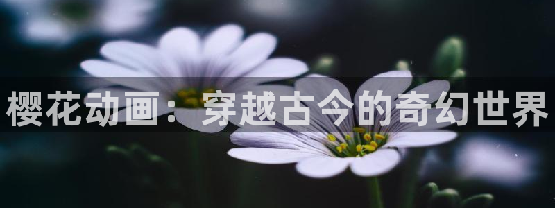 omofun动漫官网下载