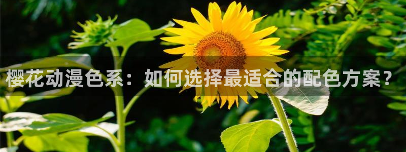 omofun注册