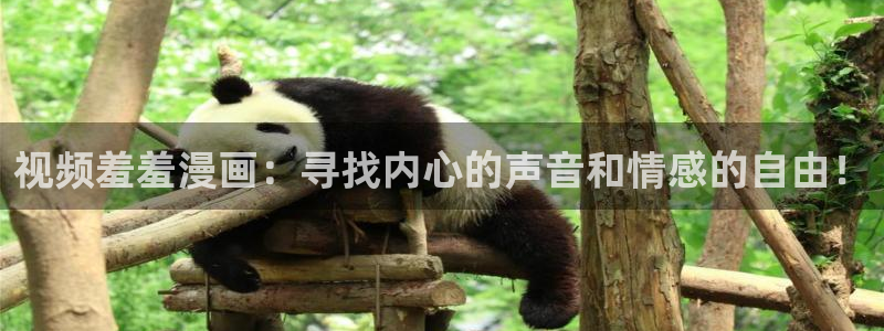 omofun怎么自签