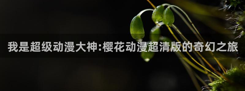 omofun下载动漫
