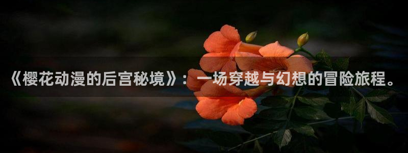 omofun 下载