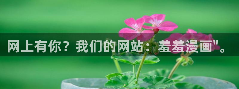 omofun动漫
