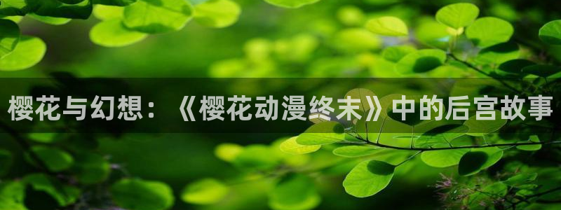 omofun无广告版下载