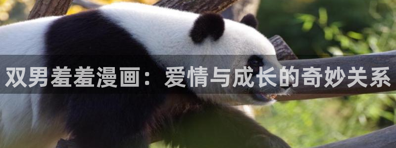 omofun动漫共和国下载：双男羞羞漫画：爱情与成长的奇妙关系