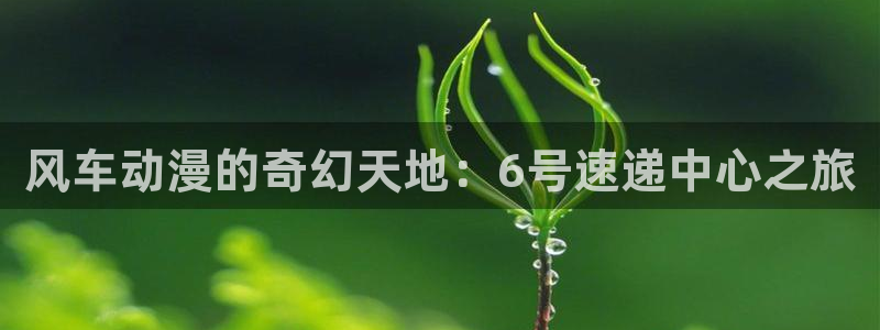 omofun动漫网在线观看：风车动漫的奇幻天地：6号速递中心之旅