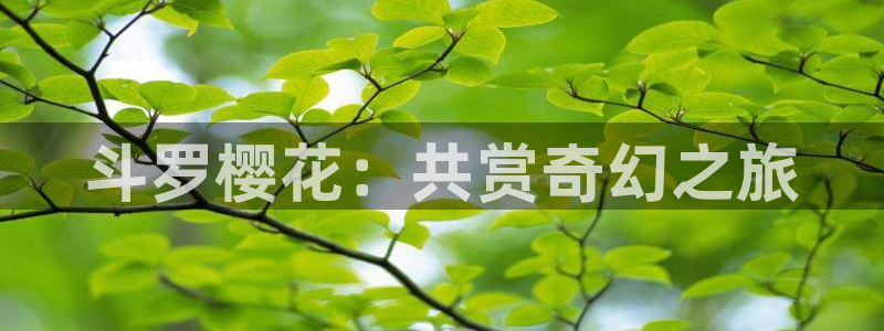 omofun动漫官网网址：斗罗樱花：共赏奇幻之旅