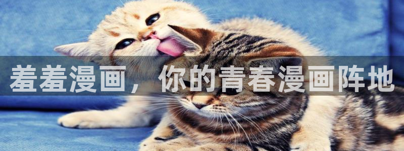 omofun官方app：羞羞漫画，你的青春漫画阵地